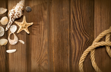 rope and shells  on weathered wood backgroundの写真素材