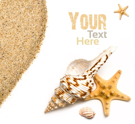 background of sea shells and sandの写真素材
