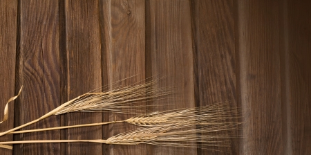 wheat on the wood backgroundの写真素材