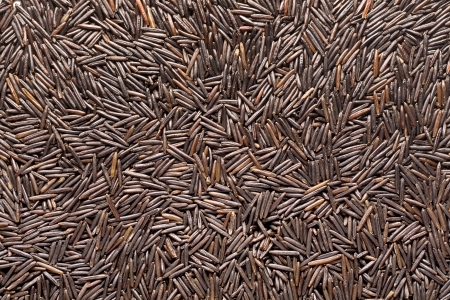 Seeds of wild rice.Backgroundの写真素材