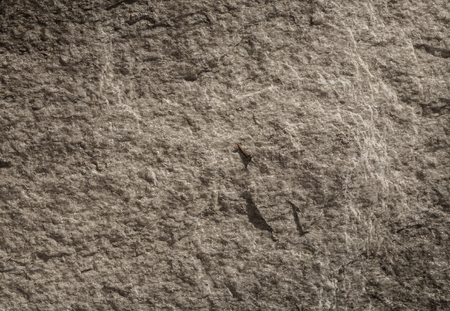Seamless rock texture background closeup