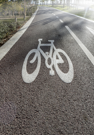 Bicycle Lanes in Park background four your designの写真素材