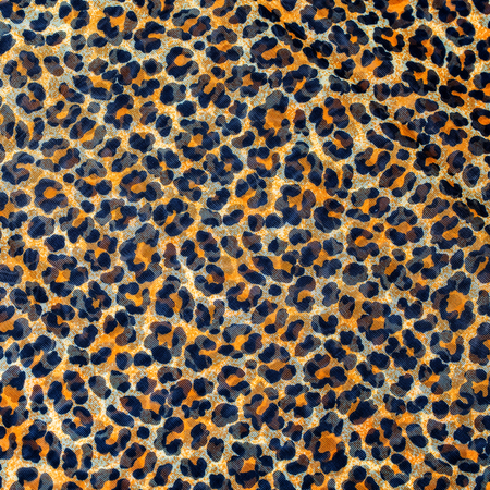 Leopard print, fabric pattern, background texture, wild animal Pattern