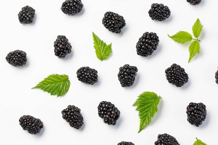 Blackberries and leaves top view on white backgroundの写真素材
