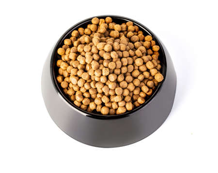 Cats and dogs dry food in a bowl isolatedの写真素材