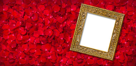 Golden frame with white background for text on a background of beautiful red rose petalsの写真素材