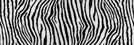 Background, pattern, texture, wallpaper, zebra print