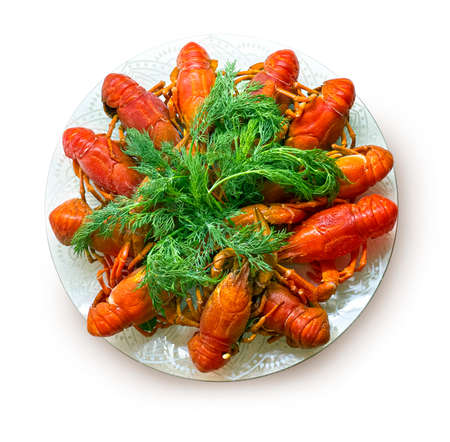 Delicious red boiled crayfishes on plate on white backgroundの写真素材