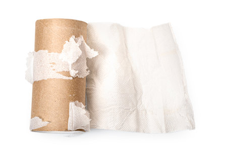 Empty Toilet Paper Roll on White Backgroundの写真素材