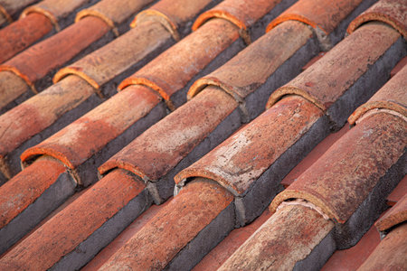 Rows of terracotta roof tiles bathed in warm sunlight, showing their weathered texture and creating...
