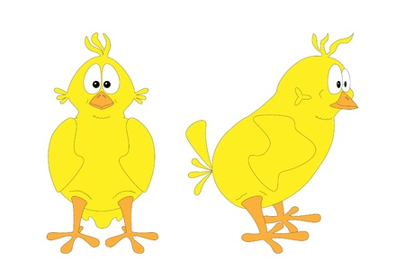 Isolated chick; two views のイラスト素材