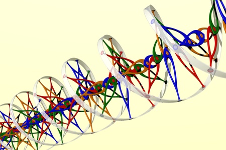 DNA double helixの写真素材