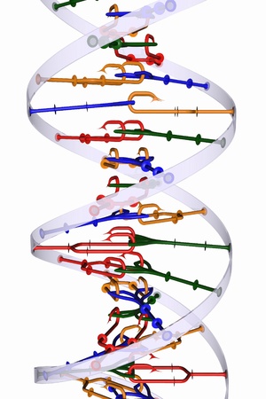 Isolated DNA helixの写真素材