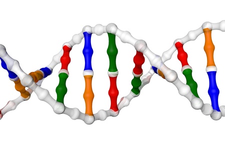 DNA helix - white background の写真素材