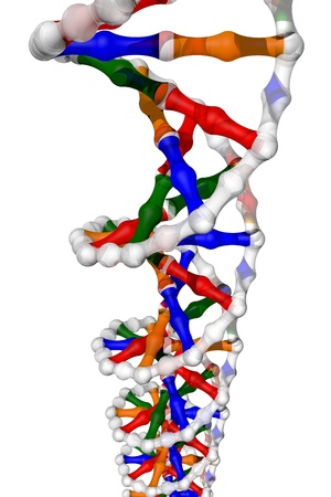 DNA helix - isolated の写真素材