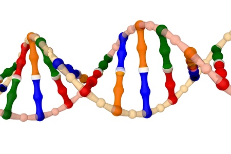 DNA - isolated on a white background の写真素材