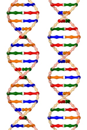 DNA helices - isolated on a white background の写真素材