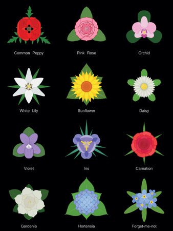 Flower collection no gradientsのイラスト素材