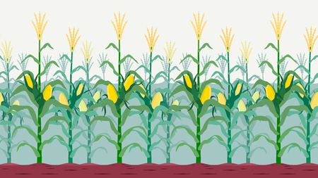 Seamless isolated cornfield vector design.のイラスト素材