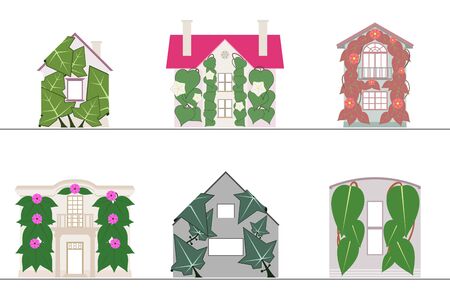 Green wall and green facade systems with no gradientsのイラスト素材