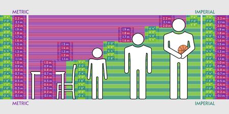 Comparison between metric and imperial units of heightのイラスト素材
