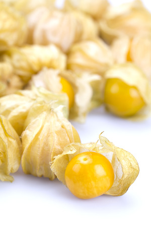 Cape gooseberries on white backgroundの写真素材