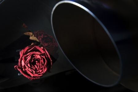 beautiful dry red rose on back diffuser sport car near exhaust pipe, street underground feelingの写真素材