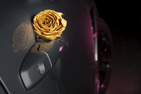 beautiful dry white rose on sport car handle, underground feelingの写真素材