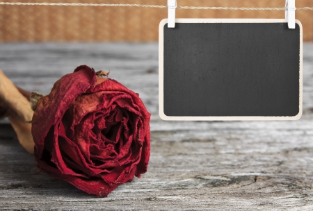 blank blackboard hang on the rope with dry red rose for memorialの写真素材