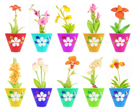 ten fake flower in the colorful flowerpot on white, isolatedの写真素材