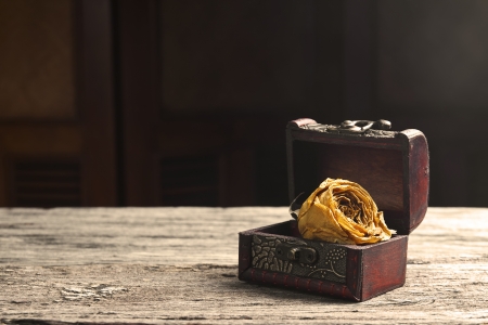 dry white rose in chest with ancient table for love memoriesの写真素材