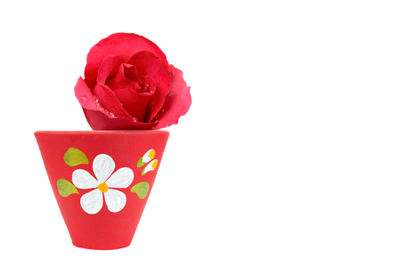 fresh beautiful red rose petal and aroma with drop of water for love flower or valentine day in red pottery flowerpot with flower paint on white background isolated and copyspaceの写真素材