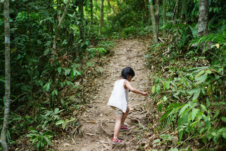 asian child cute or kid girl hiking or walking and trekking for exercise and holiday camping or vacation adventure travel on green nature forest to nang khruan waterfall in lam khong ngu national parkの写真素材