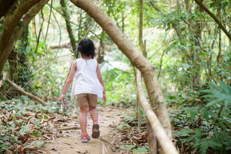 asian child cute or kid girl hiking or walking and trekking for exercise and holiday camping or vacation adventure travel on green nature forest to nang khruan waterfall in lam khong ngu national parkの写真素材