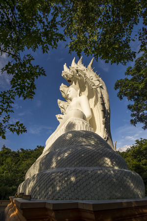 White Bhuddha sat under a snake with seven headsの写真素材