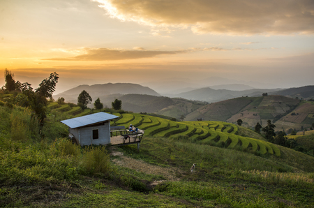 Terraced Rice Field in Chiangmai, Thailandのeditorial素材