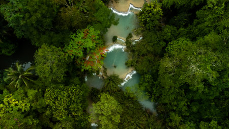 Aerial view of a river in a tropical forest. Nature backgroundの写真素材