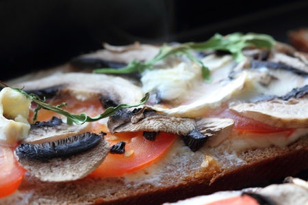 Toast with mushrooms, tomato and cheeseの写真素材