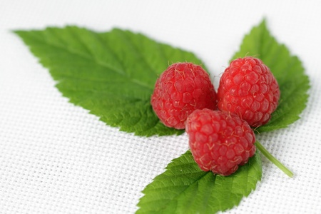 Raspberryの写真素材