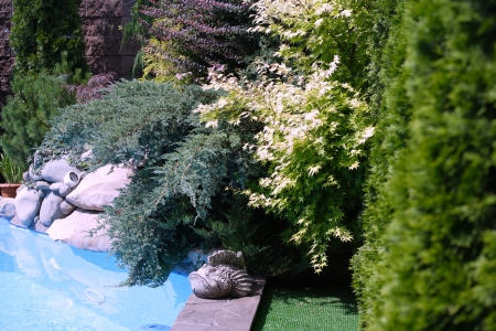 In the gardenの写真素材