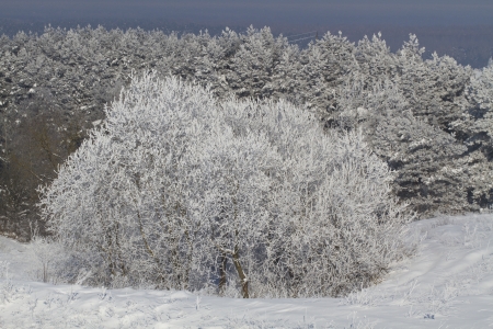 Winterの写真素材