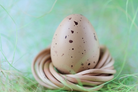 Egg in a green nestの写真素材