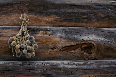 Dry flowers on the wooden wall