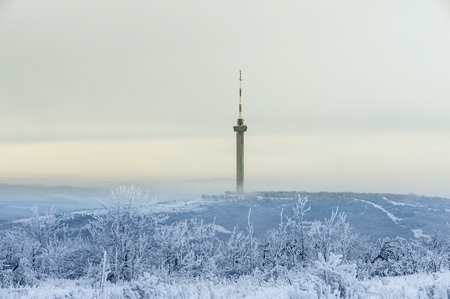 Winter morningの写真素材