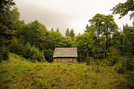 Old wooden house in the Ukrainian Carpathiansの写真素材