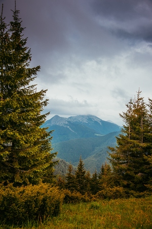 Carpathian mountains