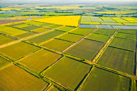 Cultivation of cereals. Krasnodar region, top view