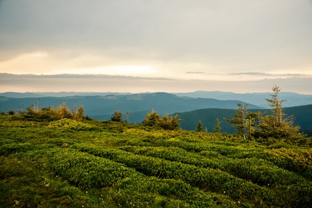Carpathians landscapeの写真素材
