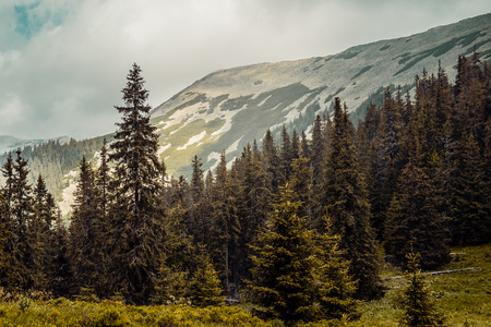 Carpathians mountains Ukraineの写真素材