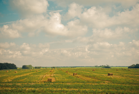 The fields. Krasnodar region, Russiaの写真素材